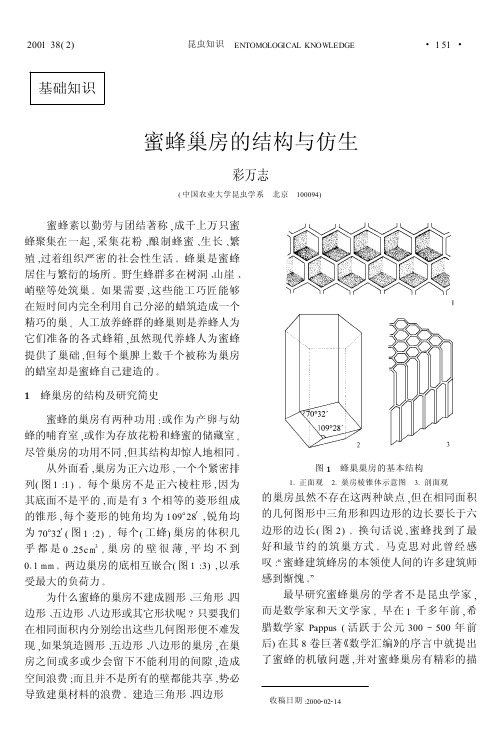 蜜蜂巢房的结构与仿生 - 《应用昆虫学报》