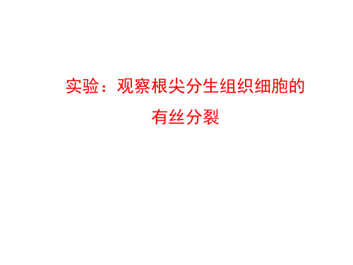 2020-2021学年高中人教版生物必修一课件：6 实验：观察根尖分生组织细胞的有丝分裂