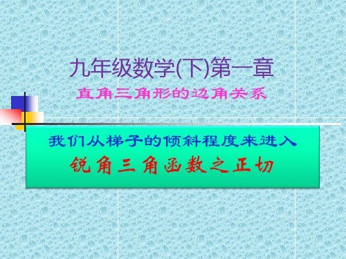 九年级数学下册课件-28.1 锐角三角函数10-人教版