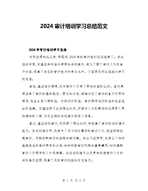 2024审计培训学习总结范文(二篇)