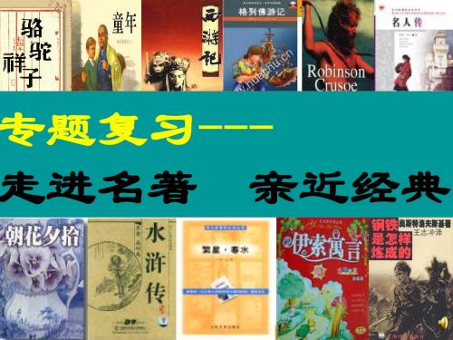 中考专题复习课件：名著阅读(共119张课件)