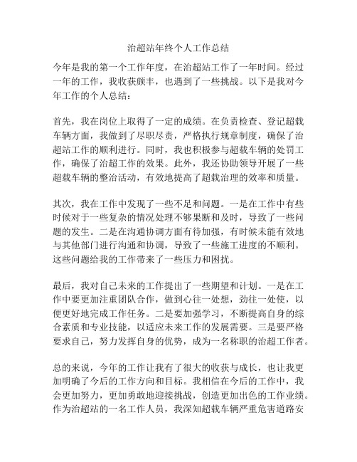 治超站年终个人工作总结