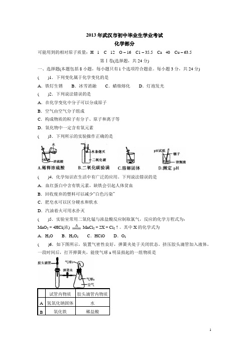 2013年武汉市初中毕业生学业考试