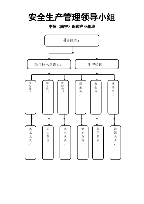 项目管理人员架构表