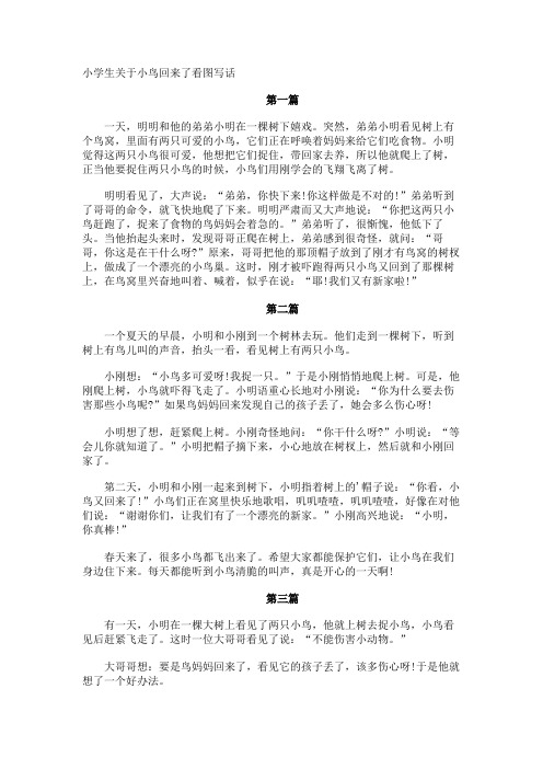 小学生小鸟回来了看图写话