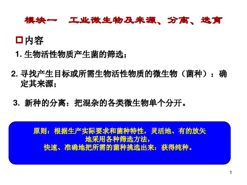 (推荐)《工业微生物及来源》PPT课件