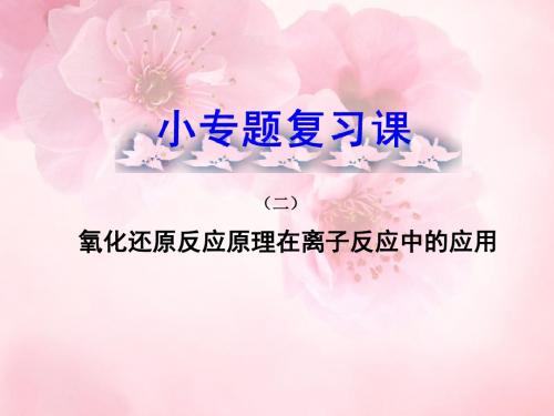 高考化学 小专题复习课(二)氧化还原反应原理在离子反应中的应用课件 新人教版