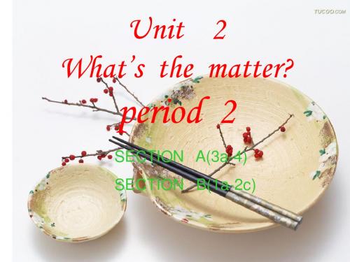 新目标八年级上 Unit2 period 2 课件