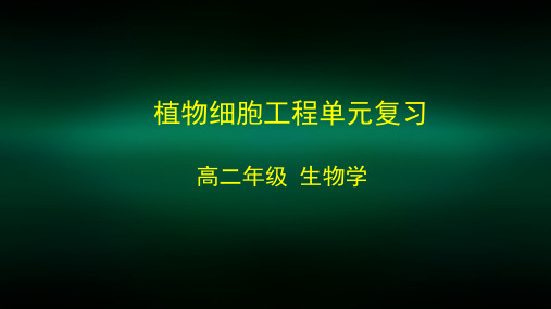 高二生物学人教版选修3植物细胞工程单元复习-2PPT课件