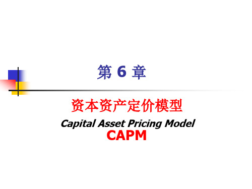 6金融经济学(第六章 资本资产定价(CAPM)理论)