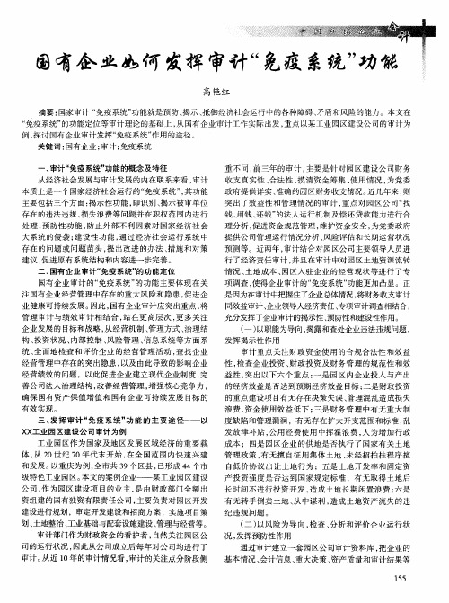 国有企业如何发挥审计＂免疫系统＂功能