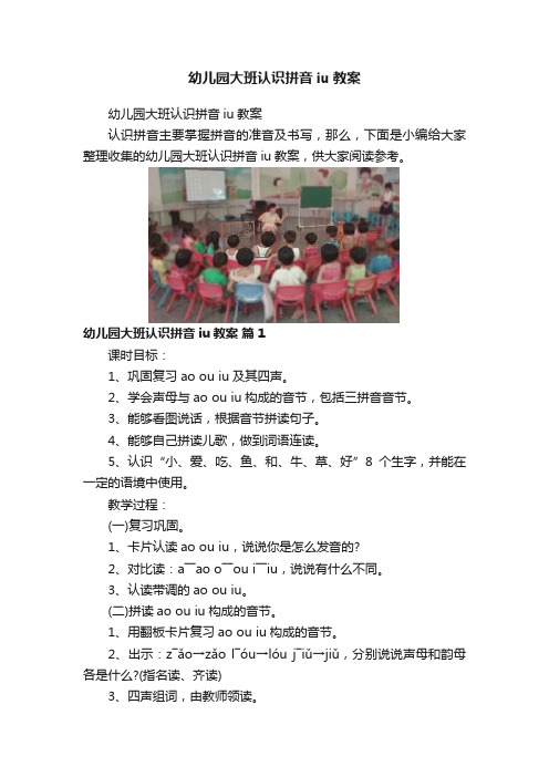 幼儿园大班认识拼音iu教案