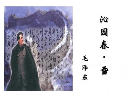 《沁园春·雪》(上课)