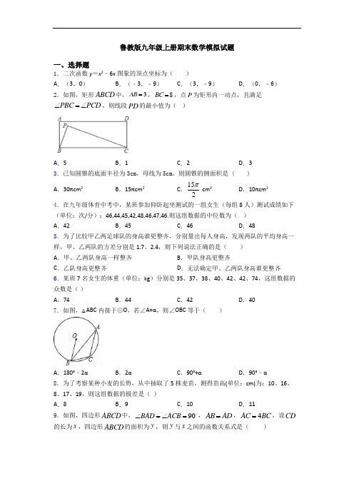 鲁教版九年级上册期末数学模拟试题