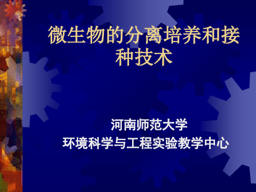 微生物的分离培养和接种技术