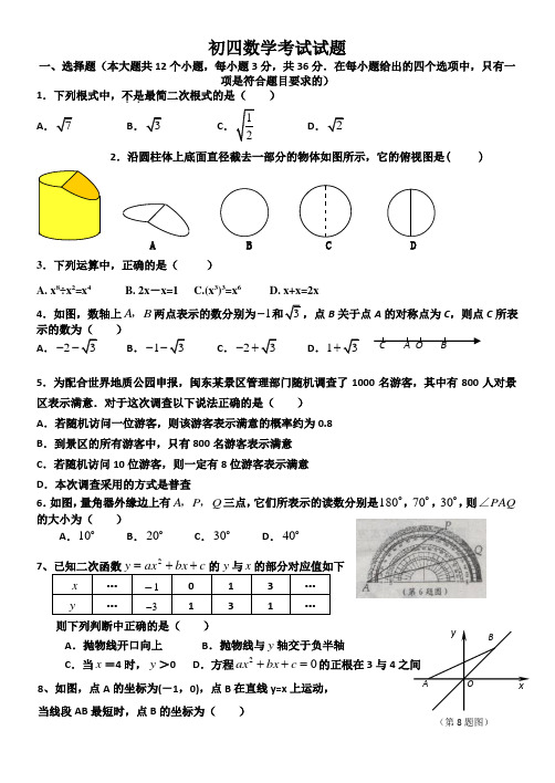 初四数学模拟(十一)