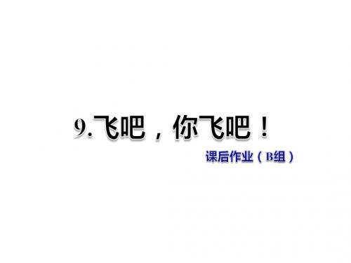 六年级上册语文课件-飞吧,你飞吧! 作业(B组)教科版 (共16张PPT)