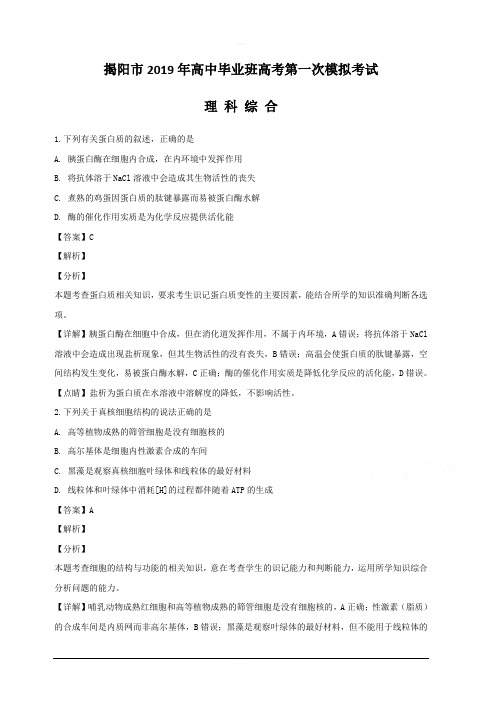 广东省揭阳市2019届高三高考第一次模拟考试理综生物试题 含解析