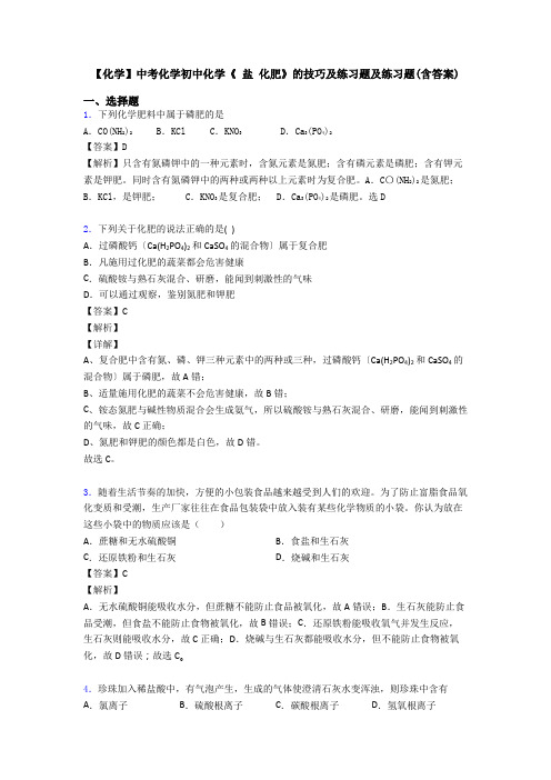 【化学】中考化学初中化学《 盐 化肥》的技巧及练习题及练习题(含答案)