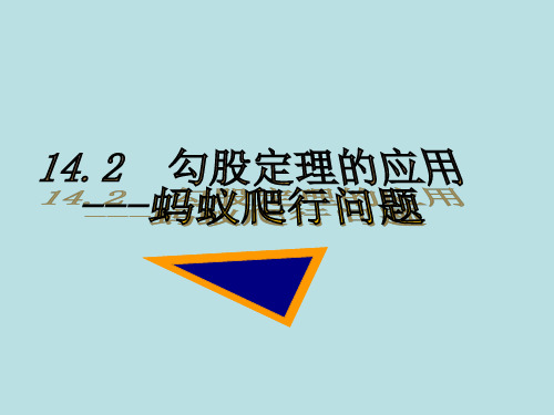 初中数学华东师大版八年级上册复习题