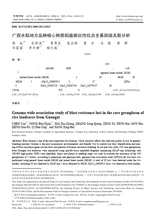 广西水稻地方品种核心种质稻瘟病抗性位点全基因组关联分析