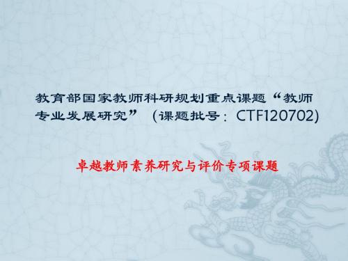 教育部国家教师规划课题教师专业研究 (2)