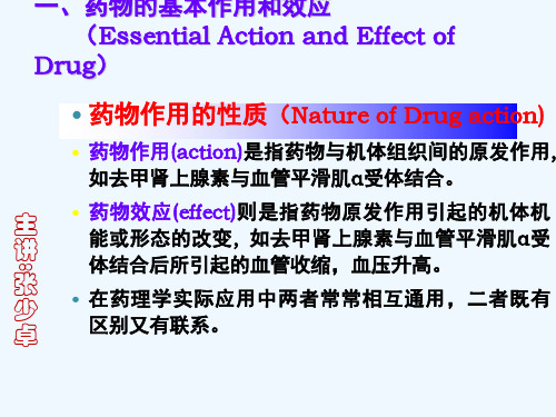 药理学本科药效学4