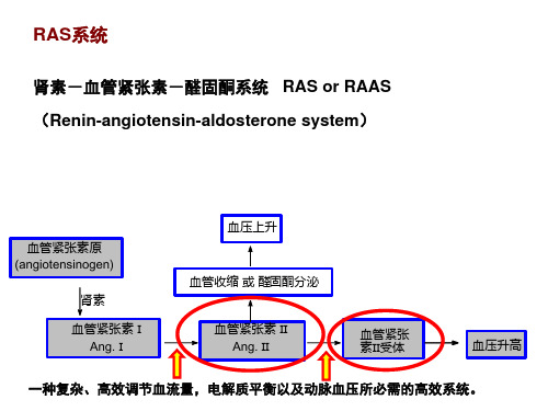 血管紧张素