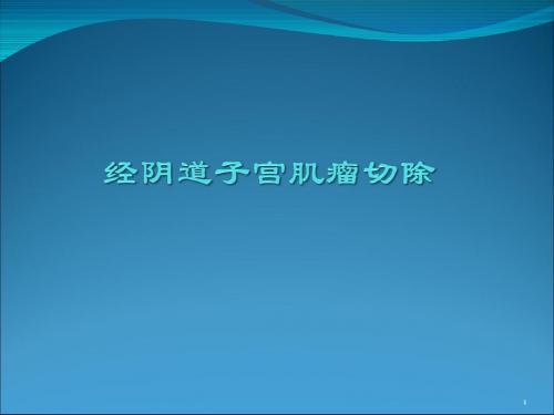 经阴道子宫肌瘤切除ppt课件