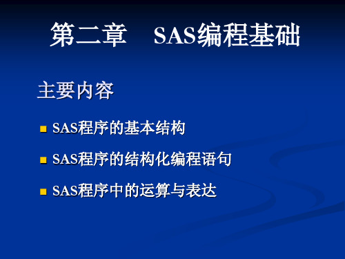 第2章 SAS编程基础