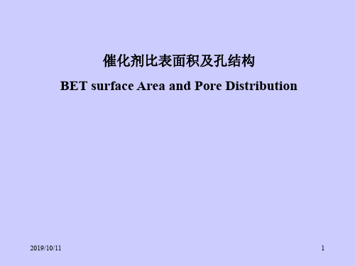 比表面和孔径分布2