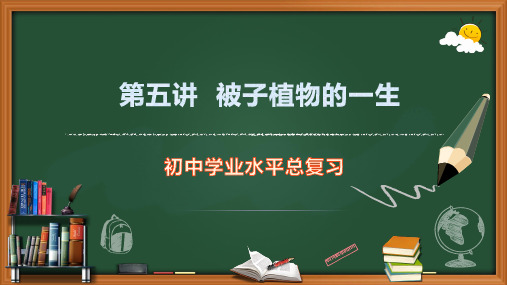 第五讲被子植物的一生(课件)中考生物总复习(共20张PPT+内嵌视频1个)