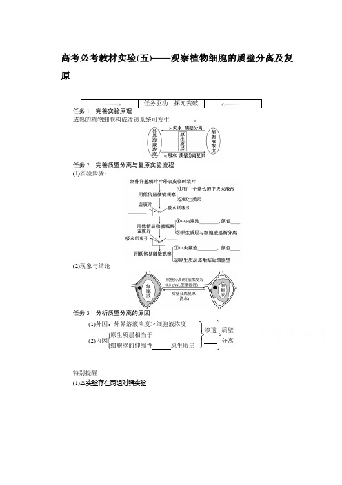 新高考生物人教版一轮探究案高考必考教材实验(五)——观察植物细胞的质壁分离及复原