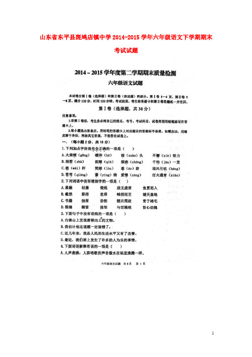 山东省东平县斑鸠店镇中学2014_2015学年六年级语文下学期期末考试试题(扫描版)