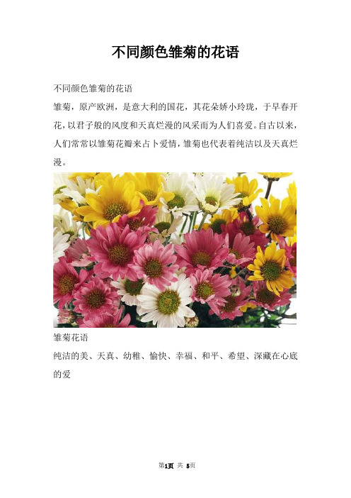 不同颜色雏菊的花语