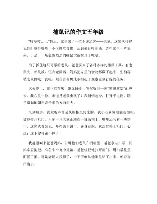 捕鼠记的作文五年级