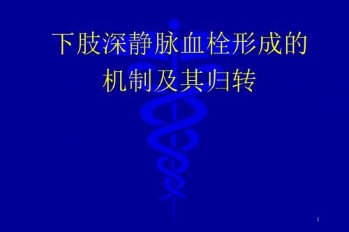 下肢深静脉血栓形成的机制及其归转PPT课件