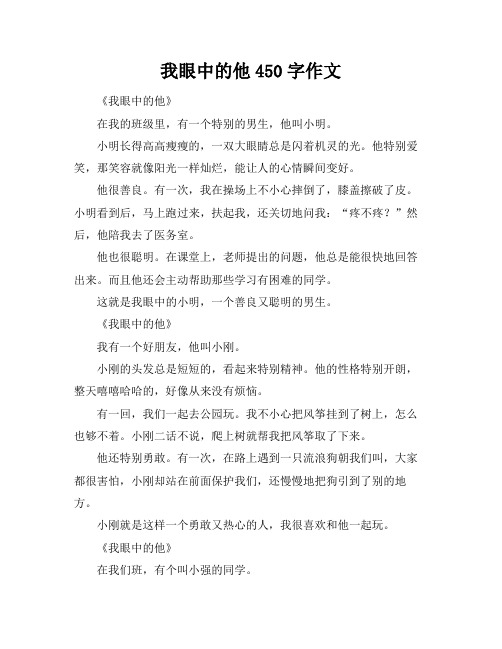 我眼中的他450字作文