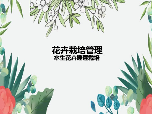 花卉栽培管理水生花卉睡莲栽培