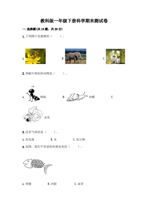 教科版一年级下册科学期末测试卷带答案(实用)