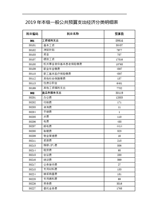 2019年本级一般公共预算支出经济分类明细表【模板】