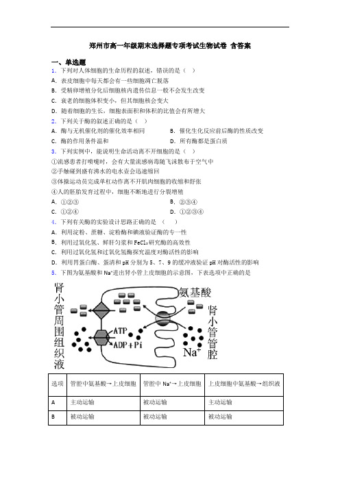 郑州市高一年级期末选择题专项考试生物试卷 含答案