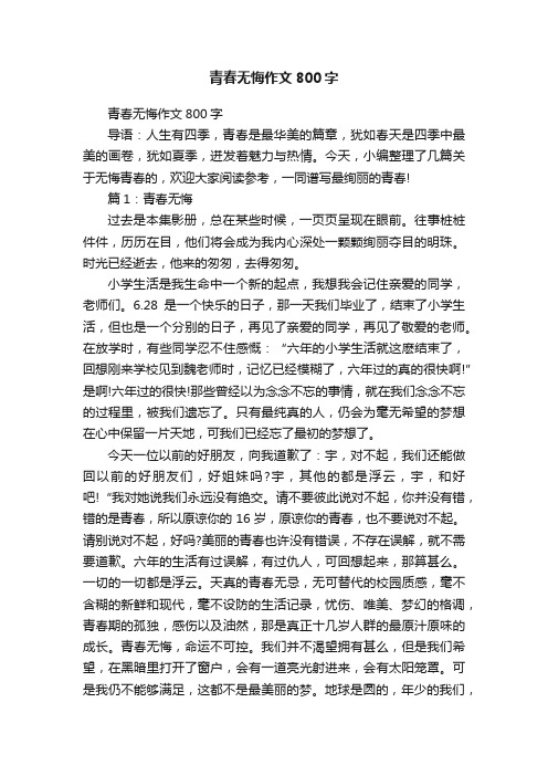 青春无悔作文800字