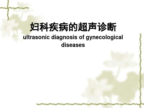 妇科疾病的超声诊断-精品医学课件
