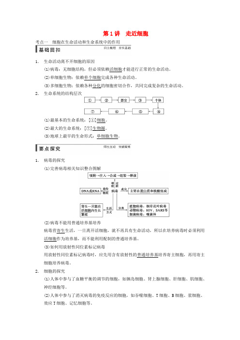 【步步高】高考生物一轮总复习精品讲义 第1讲 走近细胞 新人教版