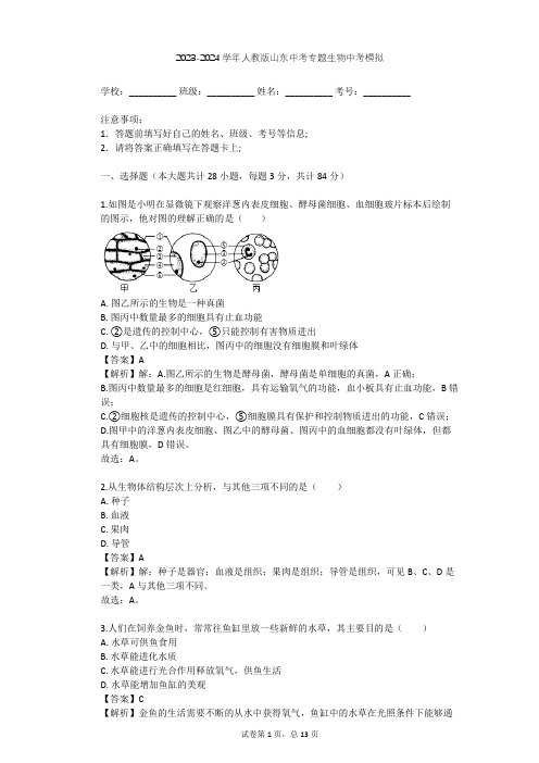 2023-2024学年山东青岛人教版中考专题生物中考模拟(含答案解析)