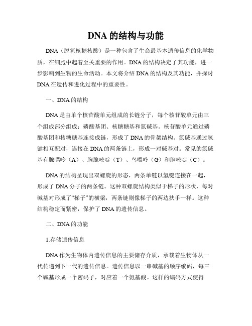 DNA的结构与功能