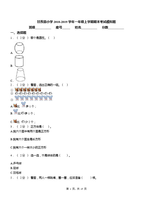 甘孜县小学2018-2019学年一年级上学期期末考试模拟题