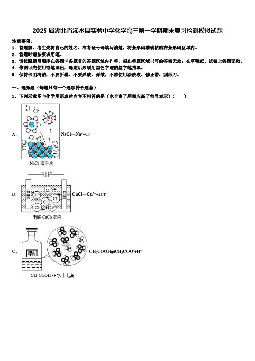 2025届湖北省浠水县实验中学化学高三第一学期期末复习检测模拟试题含解析