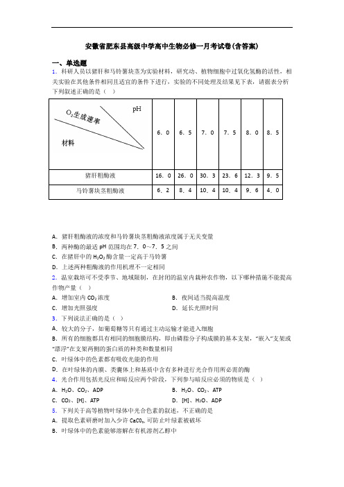 安徽省肥东县高级中学高中生物必修一月考试卷(含答案)